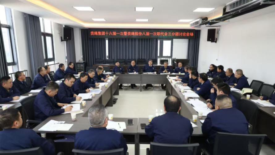 马显红在参加职代会分团讨论时强调：明确方向，强化担当，在真抓实干中开创发展新局面